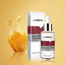 Lanbena Sérum Essence traitement antifongique enlève les champignons ongles réparateur Piedsmains