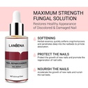 Lanbena Sérum Essence traitement antifongique enlève les champignons ongles réparateur Piedsmains